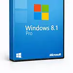 Windows 8.1 Professional